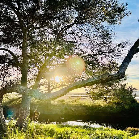 Camping Mobil-home Cosy 6 P Climatise A A 200 M De La Dans 4 Etoiles Calme Et Familial