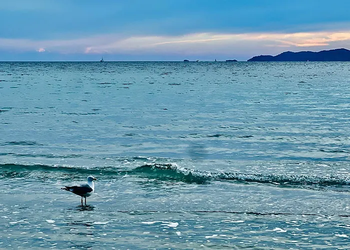 Mobil-home Cosy 6 P Climatisé à à 200 M De La Dans 4 étoiles Calme Et Familial Campeggio