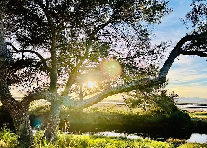 Campeggio Mobil-home Cosy 6 P Climatisé à à 200 M De La Dans 4 étoiles Calme Et Familial