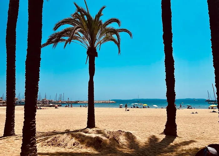 Campeggio Mobil-home Cosy 6 P Climatisé à à 200 M De La Dans 4 étoiles Calme Et Familial Hyères