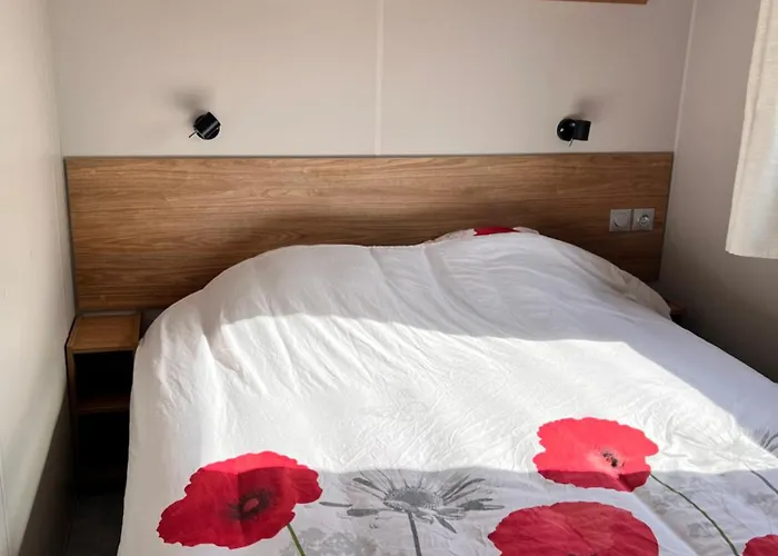 Campeggio Mobil-home Cosy 6 P Climatisé à à 200 M De La Dans 4 étoiles Calme Et Familial Hyères